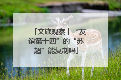 文旅观察丨“友谊第十四”的“苏超”能复制吗