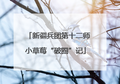 新疆兵团第十二师小草莓“破圈”记