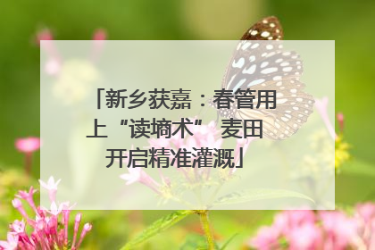 新乡获嘉：春管用上“读墒术” 麦田开启精准灌溉