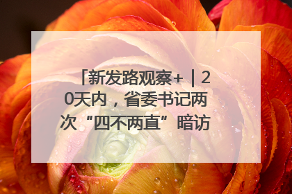 新发路观察+｜20天内，省委书记两次“四不两直”暗访，有何深意？