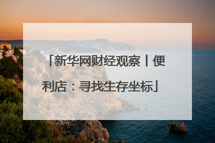 新华网财经观察丨便利店：寻找生存坐标
