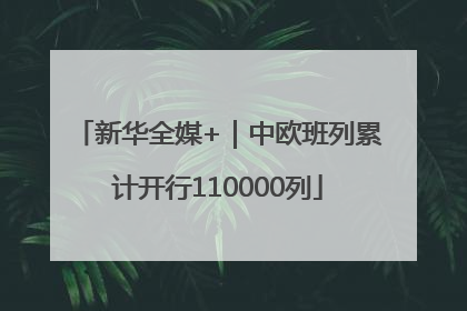 新华全媒+｜中欧班列累计开行110000列