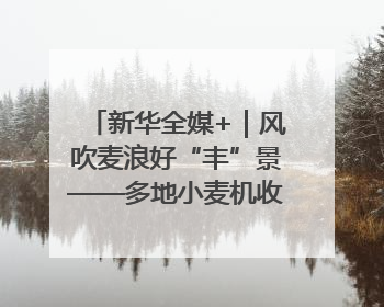 新华全媒+｜风吹麦浪好“丰”景——多地小麦机收一线见闻