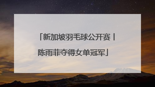 新加坡羽毛球公开赛丨陈雨菲夺得女单冠军