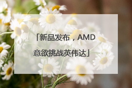 新品发布，AMD意欲挑战英伟达