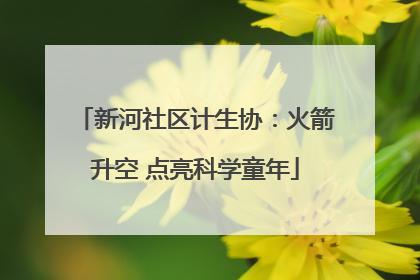 新河社区计生协：火箭升空 点亮科学童年