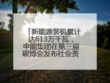 新能源装机累计达613万千瓦，申能集团在第三届碳博会发布社会责任报告