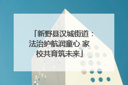 新野县汉城街道：法治护航润童心 家校共育筑未来