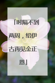 时隔不到两周，绍伊古再见金正恩