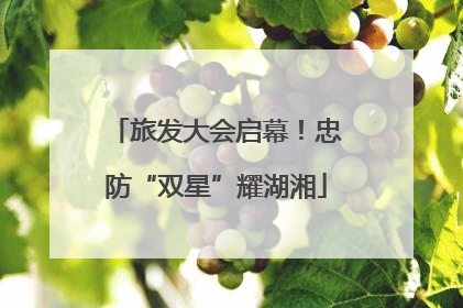 旅发大会启幕！忠防“双星”耀湖湘