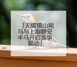 无锡锡山宛马与上海静安半马开启赛事联动