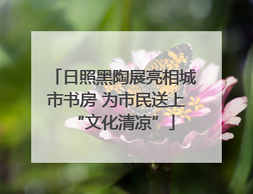 日照黑陶展亮相城市书房 为市民送上“文化清凉”