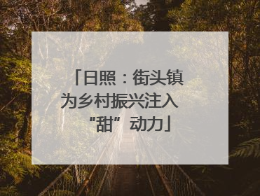 日照：街头镇为乡村振兴注入“甜”动力