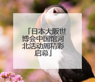 日本大阪世博会中国馆河北活动周精彩启幕