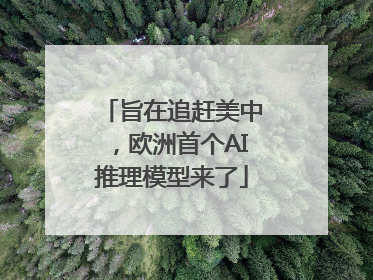 旨在追赶美中，欧洲首个AI推理模型来了