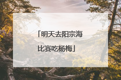 明天去阳宗海比赛吃杨梅