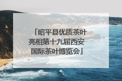 昭平县优质茶叶亮相第十九届西安国际茶叶博览会