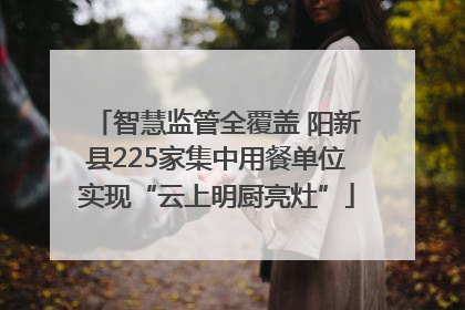 智慧监管全覆盖 阳新县225家集中用餐单位实现“云上明厨亮灶”