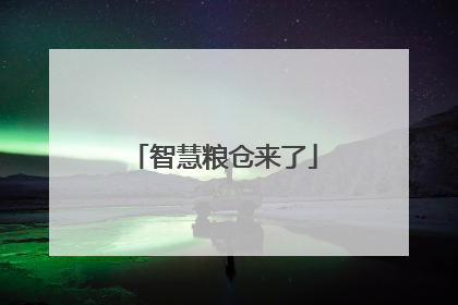 智慧粮仓来了