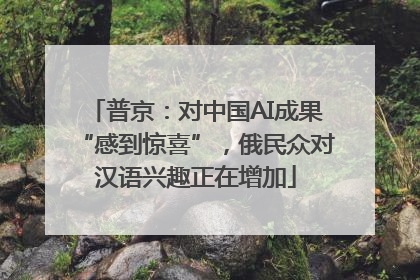 普京：对中国AI成果“感到惊喜”，俄民众对汉语兴趣正在增加