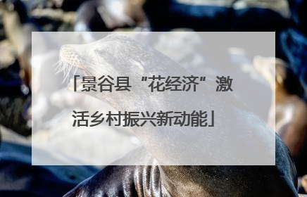 景谷县“花经济”激活乡村振兴新动能