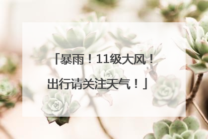 暴雨！11级大风！出行请关注天气！