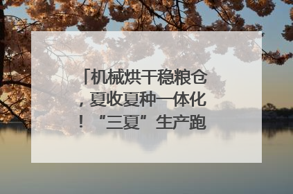 机械烘干稳粮仓，夏收夏种一体化！“三夏”生产跑出加速度｜麦报