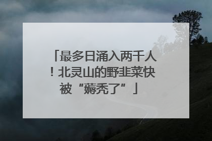 最多日涌入两千人！北灵山的野韭菜快被“薅秃了”