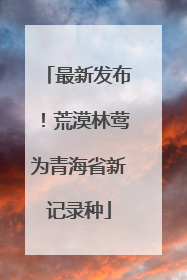 最新发布！荒漠林莺为青海省新记录种