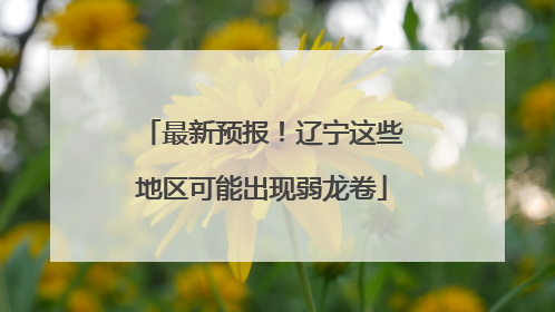 最新预报！辽宁这些地区可能出现弱龙卷