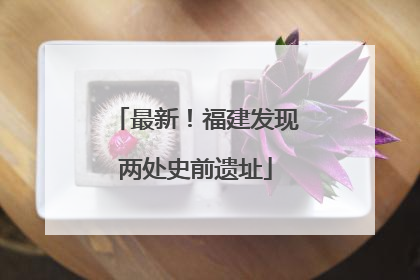 最新！福建发现两处史前遗址