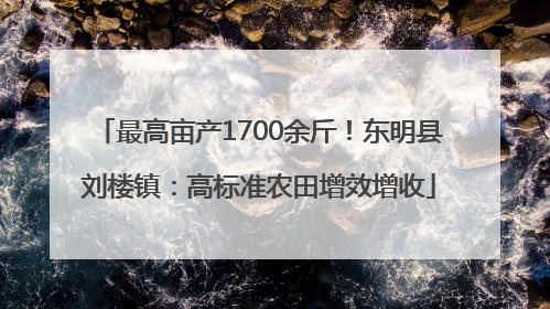 最高亩产1700余斤！东明县刘楼镇：高标准农田增效增收