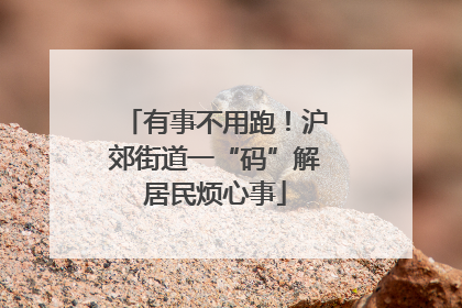 有事不用跑！沪郊街道一“码”解居民烦心事