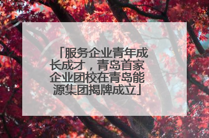 服务企业青年成长成才，青岛首家企业团校在青岛能源集团揭牌成立