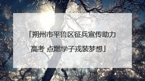 朔州市平鲁区征兵宣传助力高考 点燃学子戎装梦想
