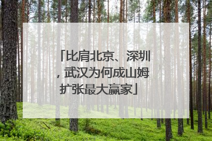 比肩北京、深圳，武汉为何成山姆扩张最大赢家