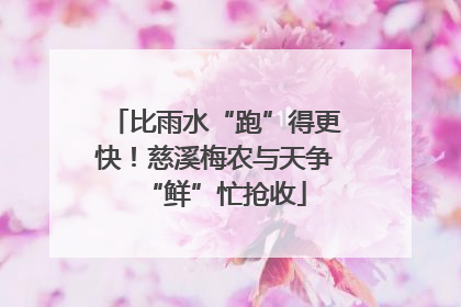 比雨水“跑”得更快！慈溪梅农与天争“鲜”忙抢收