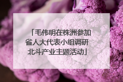 毛伟明在株洲参加省人大代表小组调研北斗产业主题活动