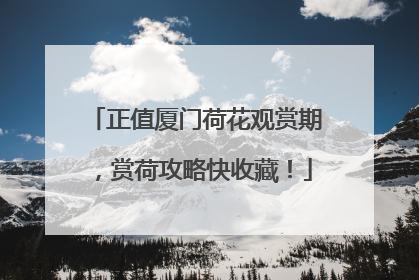 正值厦门荷花观赏期，赏荷攻略快收藏！