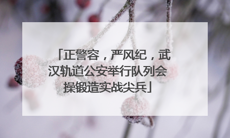 正警容，严风纪，武汉轨道公安举行队列会操锻造实战尖兵