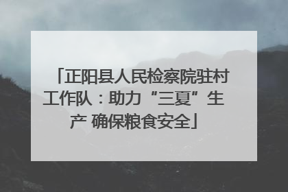 正阳县人民检察院驻村工作队：助力“三夏”生产 确保粮食安全