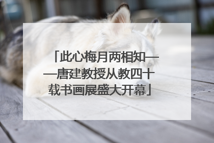 此心梅月两相知——唐建教授从教四十载书画展盛大开幕