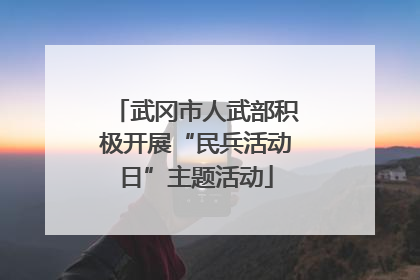武冈市人武部积极开展“民兵活动日”主题活动