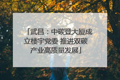 武昌：中碳登大厦成立楼宇党委 推进双碳产业高质量发展