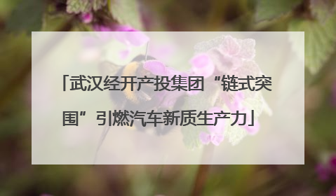 武汉经开产投集团“链式突围”引燃汽车新质生产力