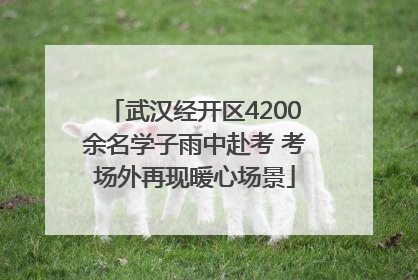 武汉经开区4200余名学子雨中赴考 考场外再现暖心场景