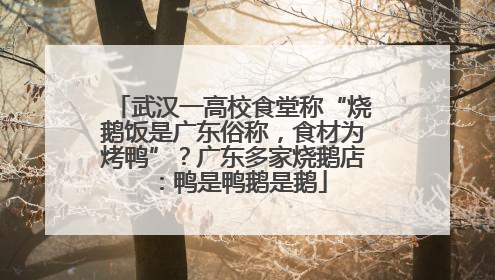 武汉一高校食堂称“烧鹅饭是广东俗称，食材为烤鸭”？广东多家烧鹅店：鸭是鸭鹅是鹅