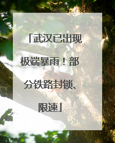 武汉已出现极端暴雨！部分铁路封锁、限速
