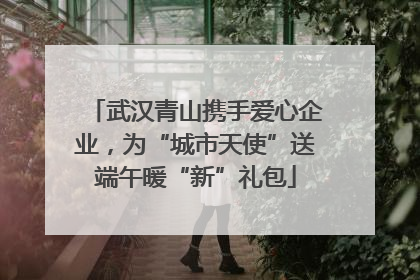 武汉青山携手爱心企业，为“城市天使”送端午暖“新”礼包