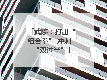 武陟：打出“组合拳” 冲刺“双过半”